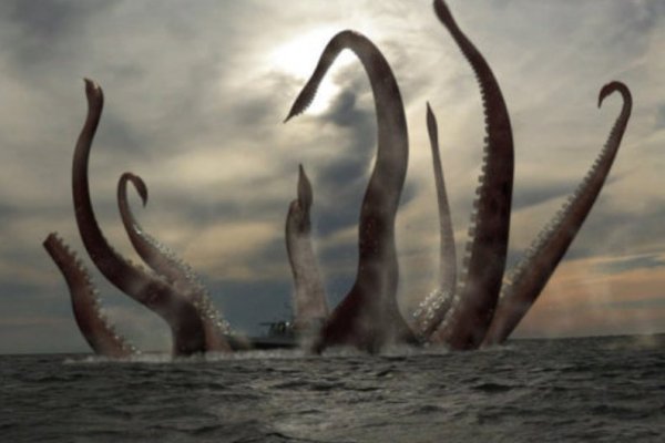 Kraken вход kraken torion